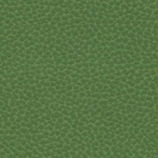 Remnant of Ultraleather Reef Pro Algae Upholstery Vinyl