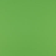 Maharam Medium Sapling Green Upholstery Vinyl 466064-009