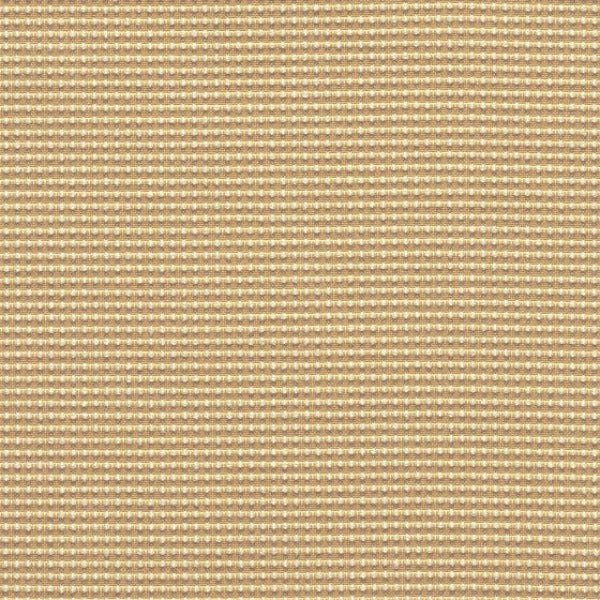 Designtex Appleseed Sesame Upholstery Fabric