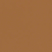 CF Stinson Upholstery Fabric Remnant Arioso Caramella