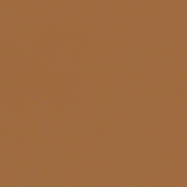 CF Stinson Upholstery Fabric Remnant Arioso Caramella