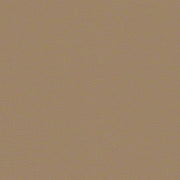CF Stinson Upholstery Fabric Remnant Arioso Porcini
