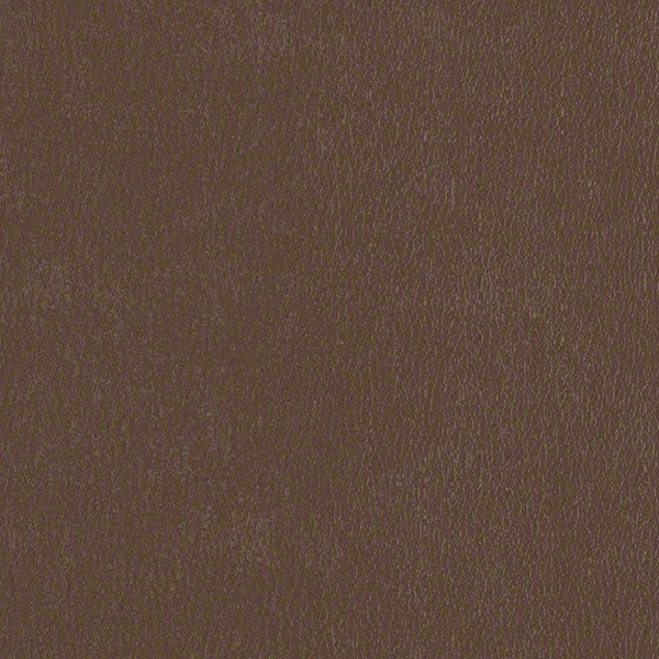 CF Stinson Upholstery Fabric Remnant Avant Mocha
