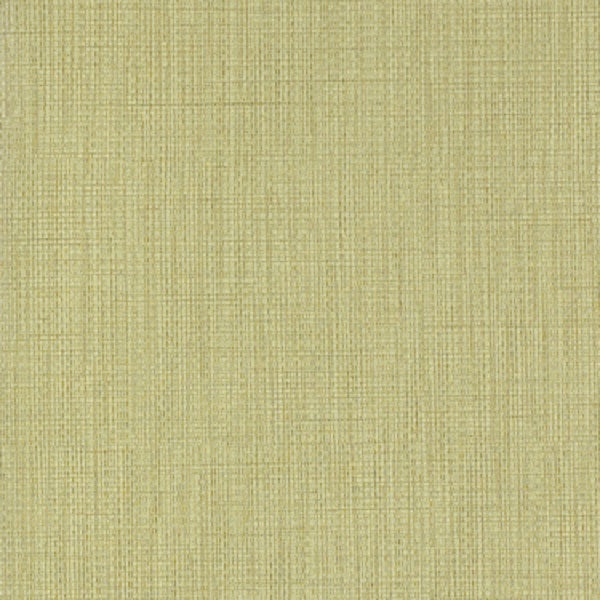 Momentum Beeline Eucalyptus Tone On Tone Green Upholstery Fabric