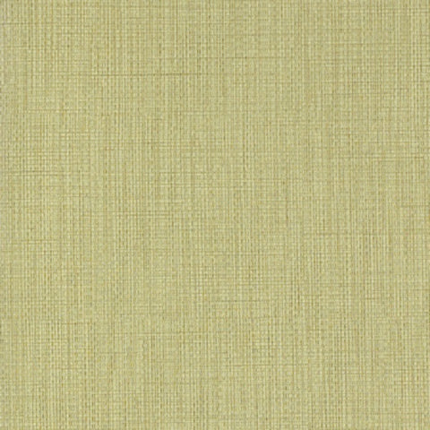Momentum Beeline Eucalyptus Tone On Tone Green Upholstery Fabric