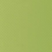 Fabric Remnant of Ultraleather Brillante Key Lime Green Vinyl