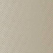 Ultraleather Fabric Remnant of Ultraleather Brillante Champagne Vinyl