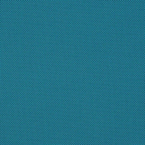 Remnant of CF Stinson Bryant Park Nile Upholstery Fabric