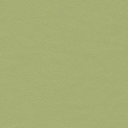 LDI California Pear Green Upholstery Vinyl
