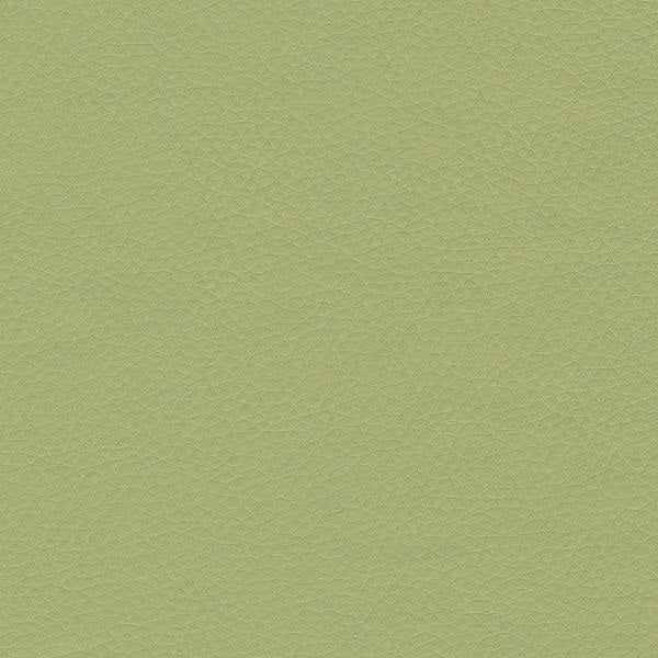 LDI California Pear Green Upholstery Vinyl