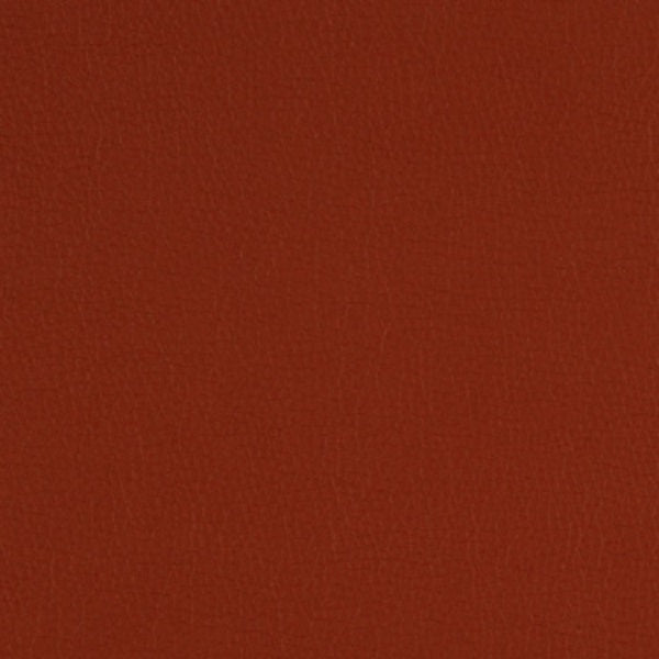Fabric Remnant of Momentum Canter Ancho Upholstery Vinyl
