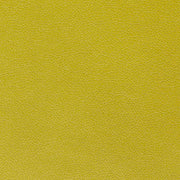 Remnant of Momentum Canter Kiwi Green Upholstery Fabric