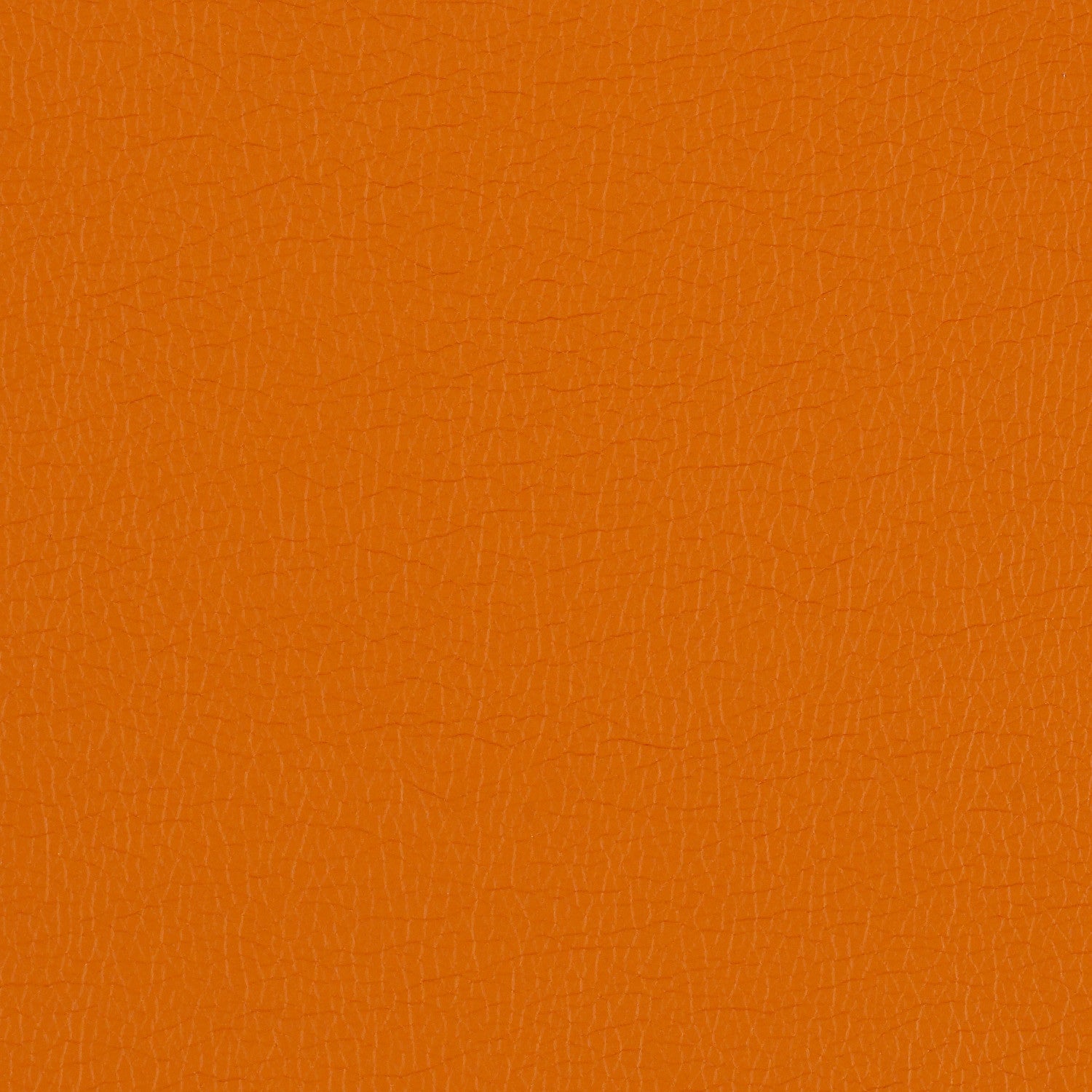 Fabric Remnant of Momentum Canter Tango