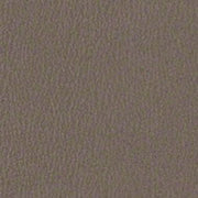 Remnant of CF Stinsion Citadel Carbon Upholstery Fabric