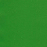 Fabric Remnant of Chroma Kelly