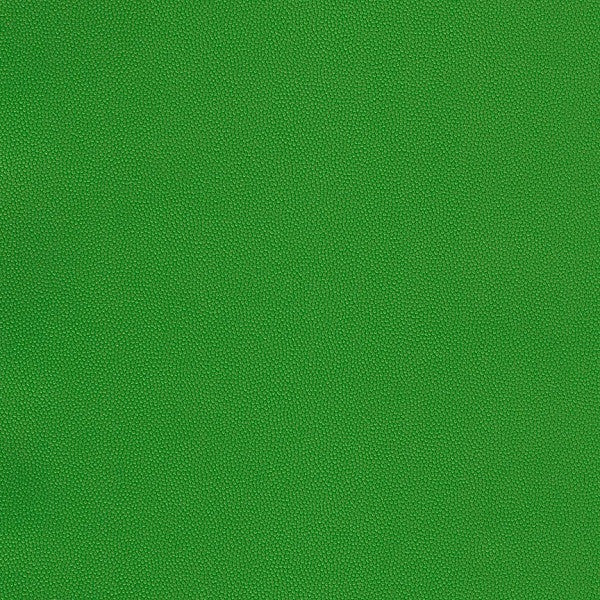 Fabric Remnant of Chroma Kelly