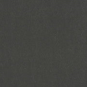 Designtex Silicone Element Rolling Stone Gray Upholstery Vinyl 3919 807