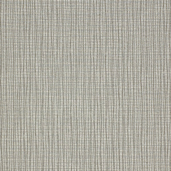 Momentum Graph Alpine Upholstery Fabric