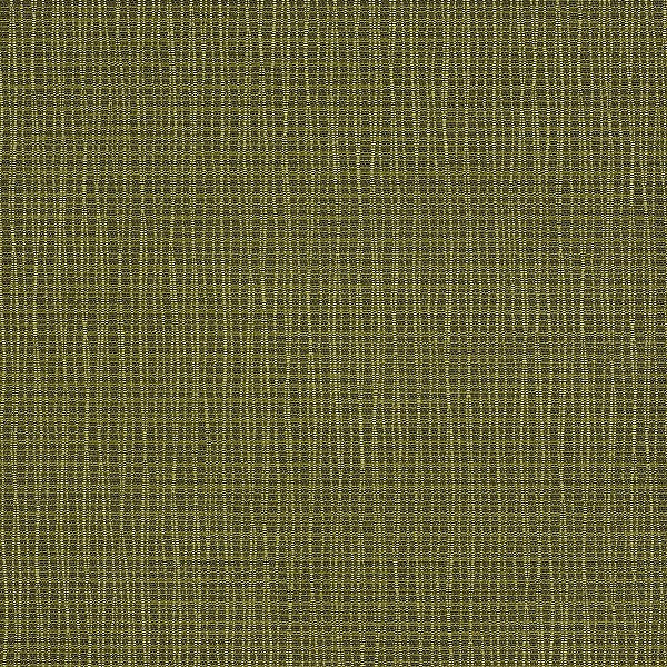 Momentum Graph Parrot Upholstery Fabric