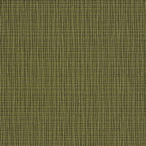 Momentum Graph Parrot Upholstery Fabric
