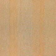 Momentum Guideline Tangelo Upholstery Fabric