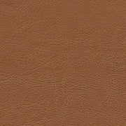 Remnant of Ludington Canyon Upholstery Vinyl
