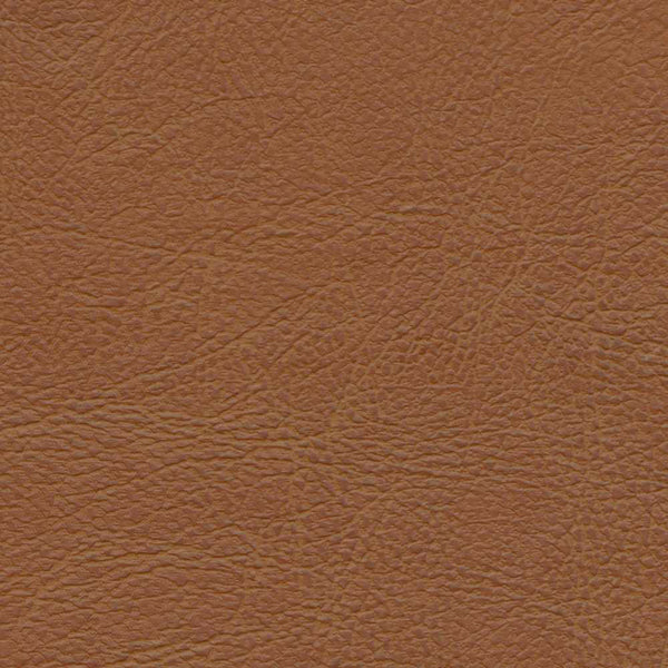 Remnant of Ludington Canyon Upholstery Vinyl