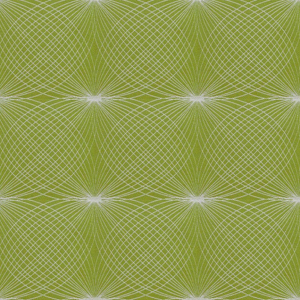 Arc-Com Upholstery Fabric Remnant Lyre Grass