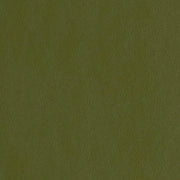 Remnant of Mayer Fabrics Florentino Basil Upholstery Fabric
