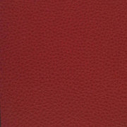 Fabric Remnant of Mayer Maverick Geranium Upholstery