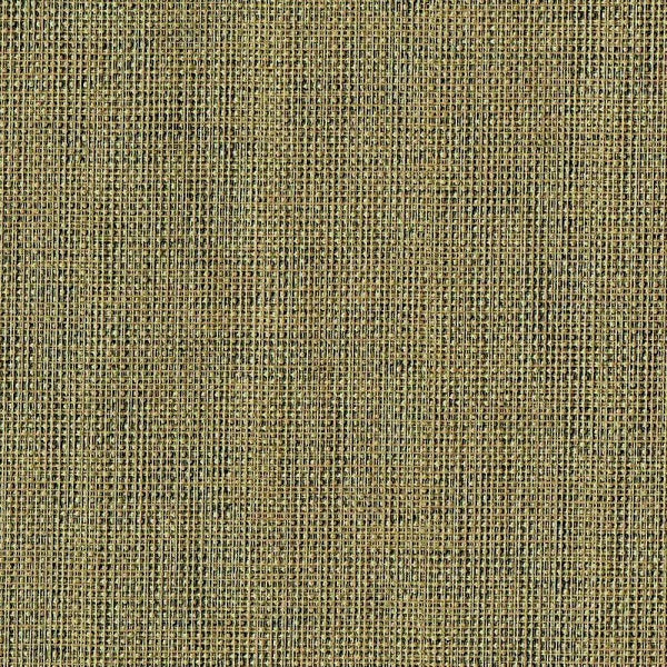 Designtex Migration Gold Leaf Upholstery Vinyl