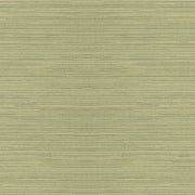 Remnant of Arc-Com Moon Beam 2 Sage Upholstery Fabric