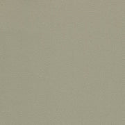 Arc-Com Fabrics Fabric Remnant of Chroma Moonstone