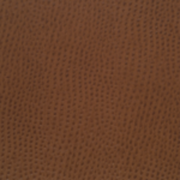 Mayer Fabrics Upholstery Fabric Remnant Outback Saddle