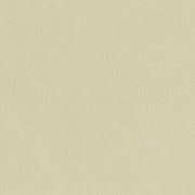 Designtex Pivot Oyster Upholstery Vinyl