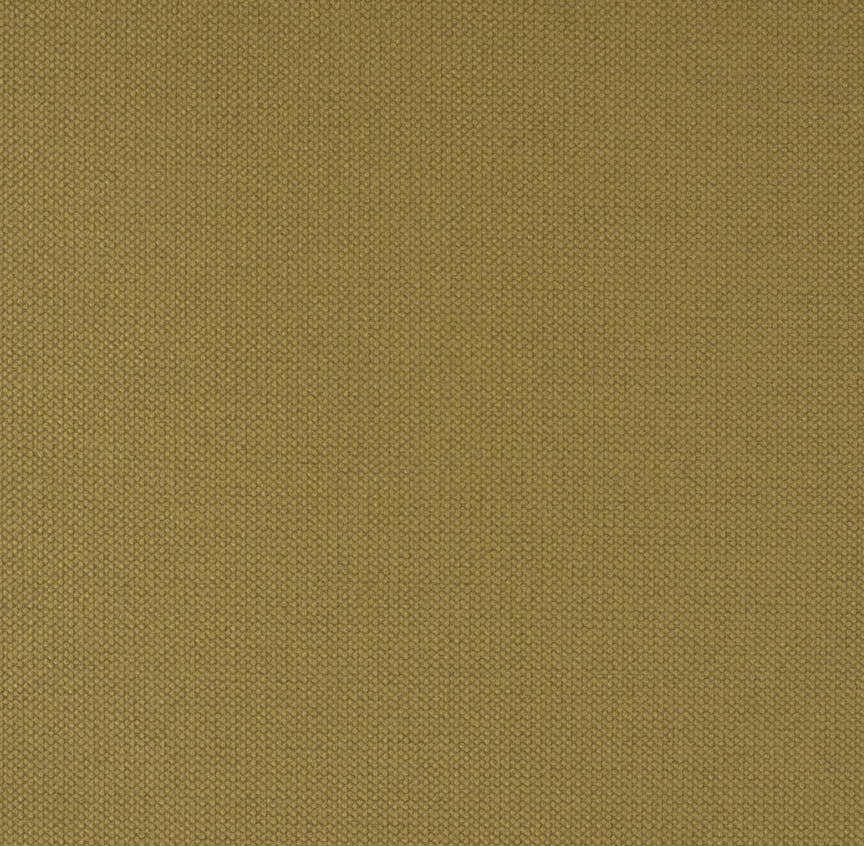 Fabric Remnant of Plateau Citrine