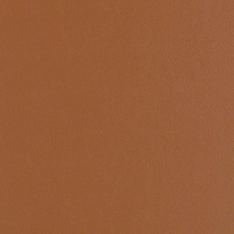 Remnant of CF Stinson Rally Cinnabar Upholstery Vinyl