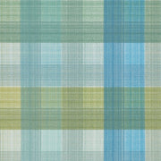 Designtex Revelry View Upholstery Vinyl