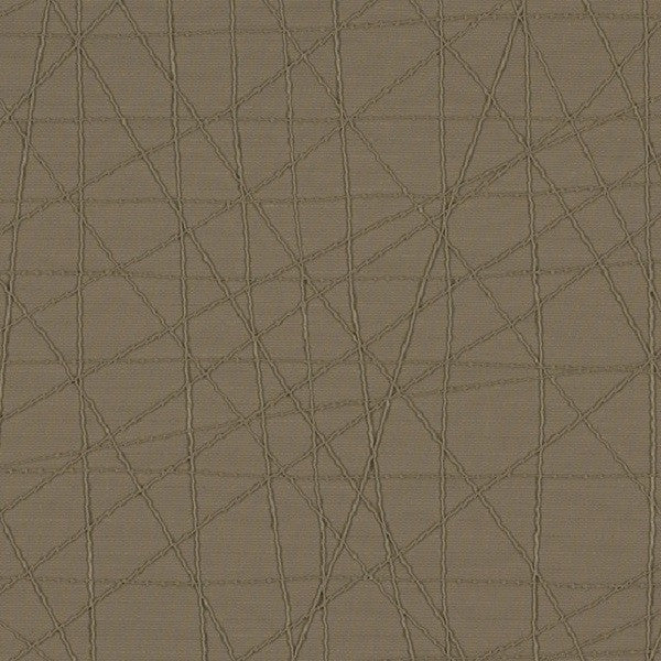 Designtex Fabrics Upholstery Fabric Remnant Rove Trench Coat