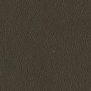 Designtex Fabrics Upholstery Fabric Remnant Rumeli Bronze