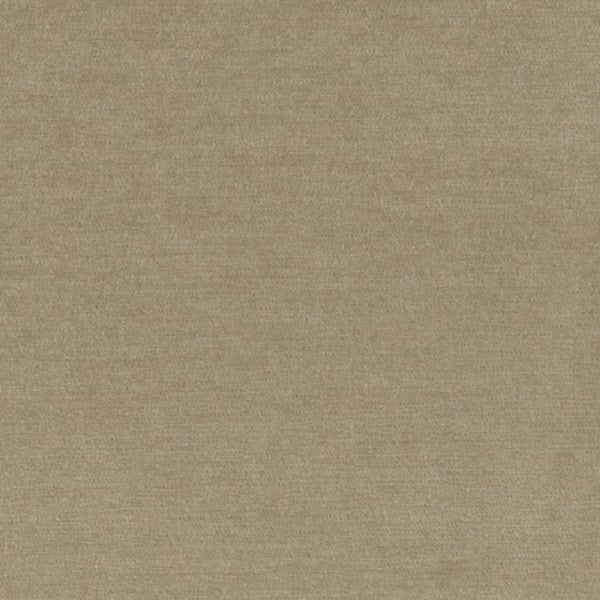 Fabric Remnant of Samba Latte