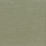 Remnant of Samba Otra Vez Sage Green Upholstery Fabric