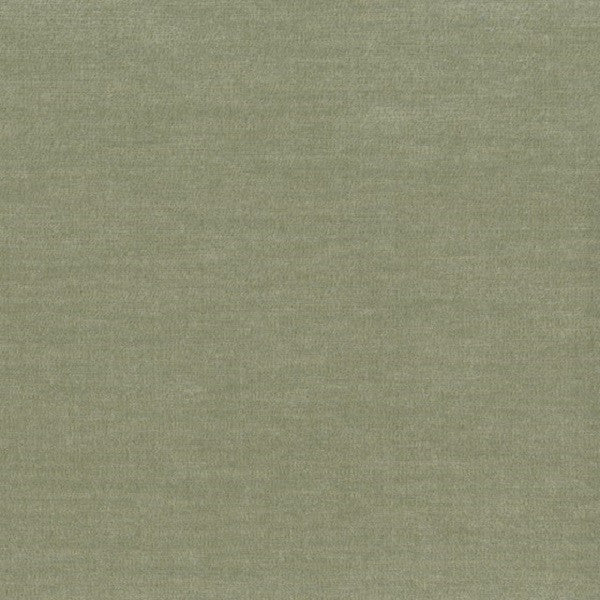 Remnant of Samba Otra Vez Sage Green Upholstery Fabric