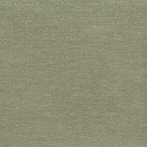 Remnant of Samba Otra Vez Sage Green Upholstery Fabric