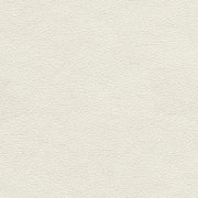 Remnant of Momentum Canter Summer White Upholstery Vinyl