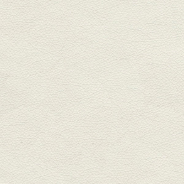 Remnant of Momentum Canter Summer White Upholstery Vinyl