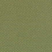 Fabric Remnant of Sense Cactus Green Upholstery Fabric