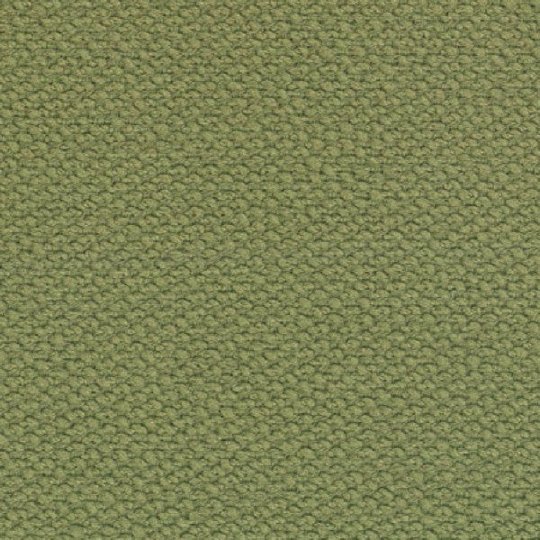 Fabric Remnant of Sense Cactus Green Upholstery Fabric