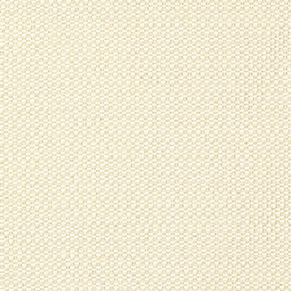 Remnant of Momentum Epic Pearl Upholstery Fabric