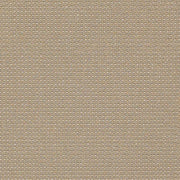 Remnant of Momentum Glint Relic Upholstery Fabric